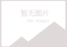 蓝山县晓夏司机有限公司